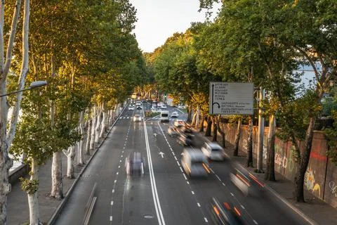 Motion blur traffic on a tree-lined avenue with a river at sunset Stock Photos