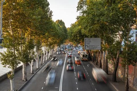 Motion blur traffic on a tree-lined avenue with a river at sunset Stock Photos