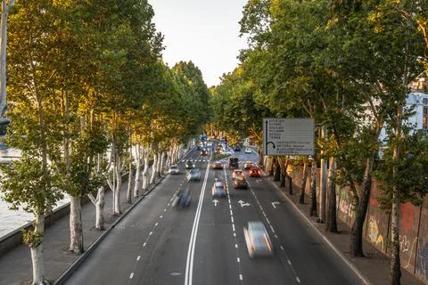 Motion blur traffic on a tree-lined avenue with a river at sunset Stock Photos