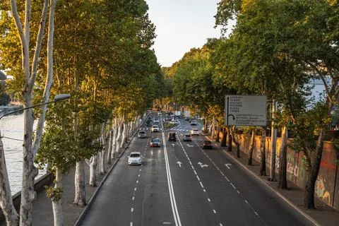Motion blur traffic on a tree-lined avenue with a river at sunset Stock Photos