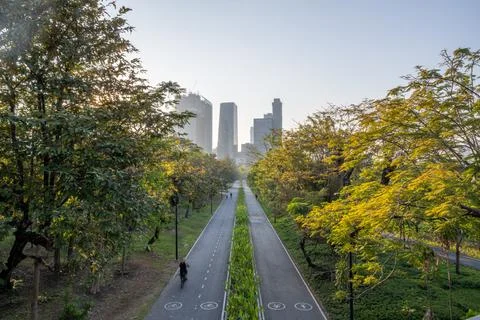 Motion blurred cyclist on tree lined park road bangkok 스톡 사진