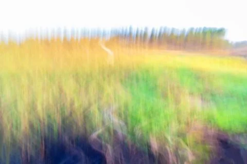 Motion blurred foliage Stock Photos