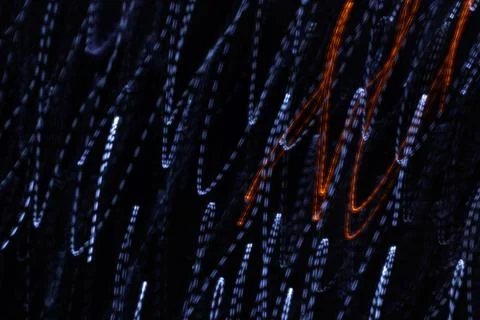 Motion blurred lights background Stock-Fotos