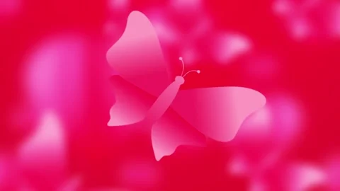 Motion Butterfly Loop Stock Footage 343380511
