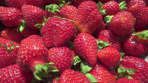 Motion camera over a beautiful ripe juicy strawberry Stock Footage 90372099