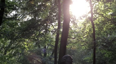 Motion camera in the park Video stock 67625940