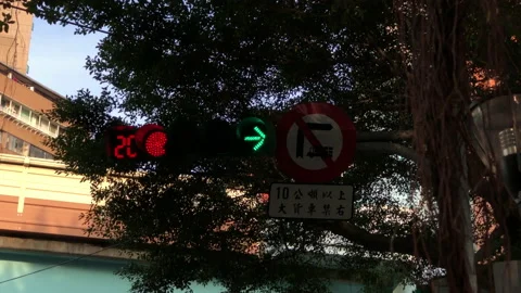 Motion of city traffic light turns on red with 4k resolution Stock Footage 100096955