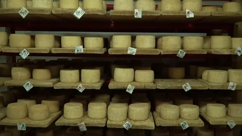 Motion close-up view of cheese storage room. Camera goes down. Stock Footage 119772329