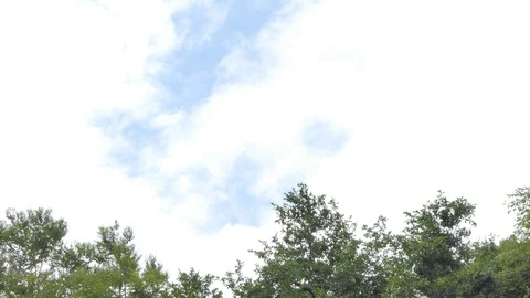 Motion of cloud on blue sky. Stock Footage 116551687