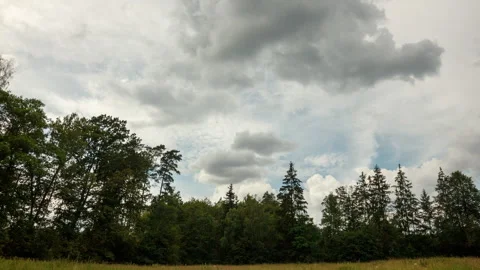 Motion of clouds over forest and meadow. Time lapse video. Stock Footage 313454153