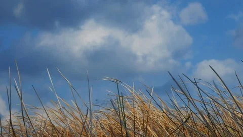 Motion of Cloudy Blue Sky before Rain. Rural Scene. Dry Grass in Winter as fo 库存影片 111889797