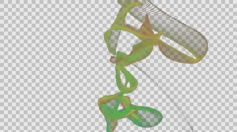 Motion color lines and alpha Stock Footage 66943444