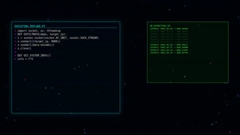 Motion of Computer Code in Action - Dynamic Programming and Coding Environm.. 스톡 동영상 342568107
