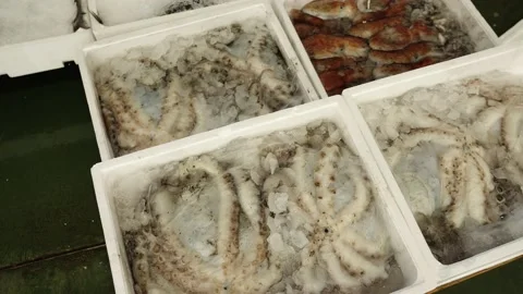 Motion to containers with fresh octopuses on ice at market Video stock 147264376