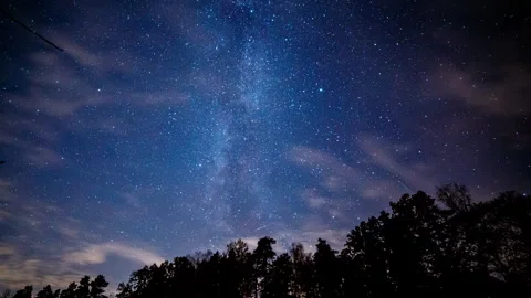 Motion controlled time lapse with starry sky over forest. Video stock 297117444