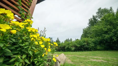Motion controlled timelapse with terrace and backyard near house in village. Stock Footage 244662131