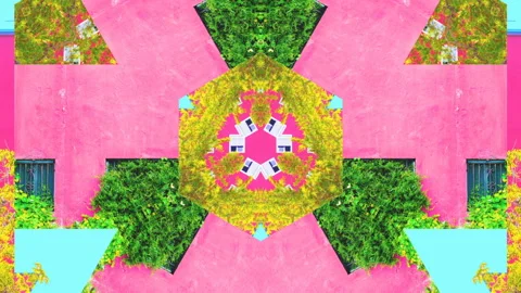 Motion creative art. Plants on pink Kaleidoscope. Fashion plant concept Stock Footage 106770520