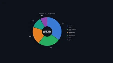 Motion Data Visualization with Dynamic Pie Charts for Business Analytics an.. 動画素材 342540932