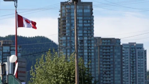 Motion of de-focus to focus of Canadian flag flying on flagpoles Video stock 77106510