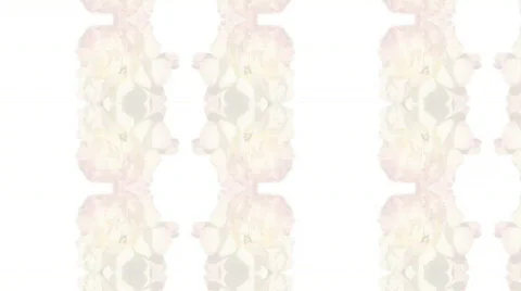 Motion Decorative Floral Background Video stock 378135