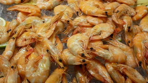 Motion of delicious shrimp on ice inside Chinese restaurant Stock Footage 100098874