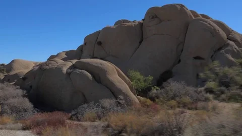 In Motion In the Desert Joshua Tree Park Cactus Rounded Big Stones Slow 4K Stock Footage 83417062