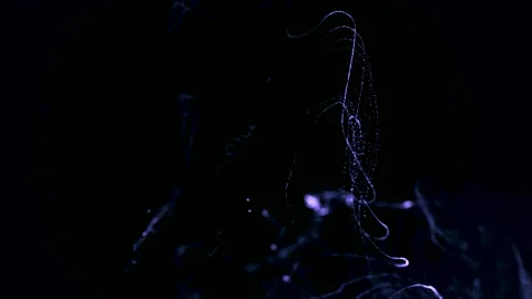 Motion design bg multicolor lines. Lines form structure fibers Video stock 219712266