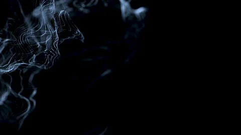 Motion design bg multicolor lines. Lines form structure fibers Stock Footage 219712562