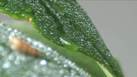 Motion of drop  Stock Footage 938994