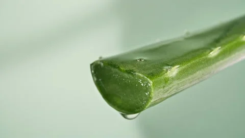 Motion of dropping a drop aloe vera liquid from leaf on green blurred background Video stock 142998827