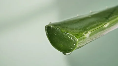 Motion of dropping a drop aloe vera liquid from leaf on green blurred background Stock Footage 143584641