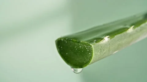 Motion of dropping a drop aloe vera liquid from leaf on green blurred background Stock Footage 150019280