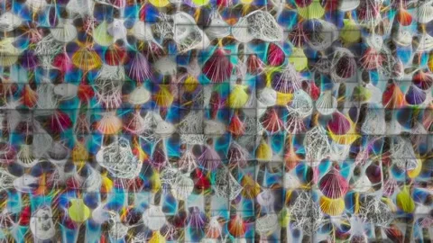 Motion effect. decorative seashells on background. Stock Footage 164899361