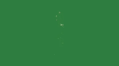 Motion Element Animated - Chroma Key Green Screen Footage Stock Footage 338014992