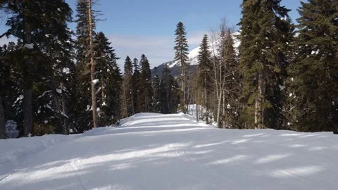 Motion On Empty Ski Slope Through Coniferous Forest In Mountains At Winter Stock Footage 217389540