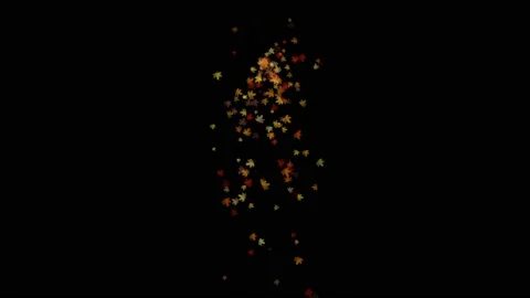 Motion of falling autumn maple leaves. yellow leaves on black background, motion Stock Footage 212018916