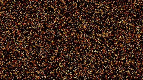 Motion of falling autumn maple leaves. yellow leaves on black background, motion Stock Footage 212019407