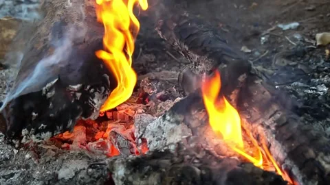 Motion of fire. Orange twisting tongues of fire. Wooden logs in flame. Smolderin Stock Footage 196679842