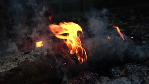 Motion of fire. Orange twisting tongues of fire. Wooden logs in flame. Smolderin Video stock 196679896