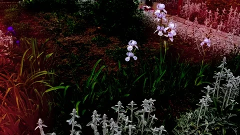 Motion footage background with colorful elements. Stock Footage 172449382