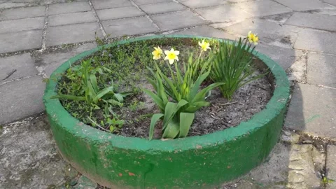 Motion footage background with colorful elements Stock Footage 195639728