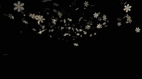 Motion footage background with colorful elements Video stock 212554733