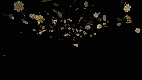 Motion footage background with colorful elements Video stock 212557960