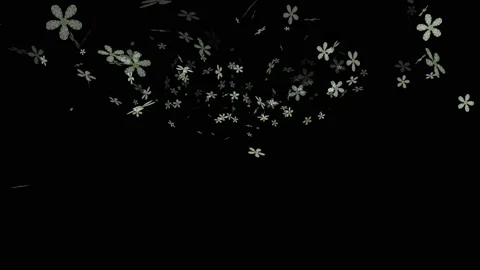 Motion footage background with colorful elements Video stock 212559392