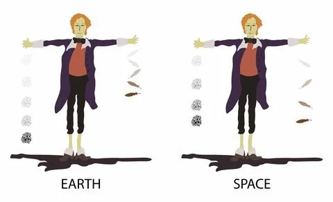 Motion of a free falling object, In vacuum all falling objects Stock Illustration