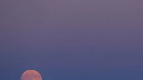 Motion of the full moon. Video stock 80373551