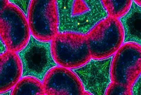 Motion FX0109 - NTSC Stock Footage 12208804