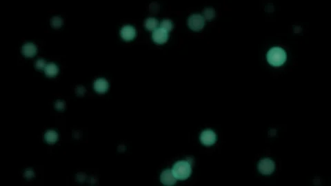 Motion of Glowing Particles in Dark Space for Visual Effect. 库存影片 342661437