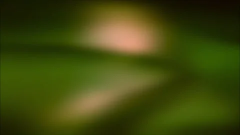 Motion graphic: abstract background wave gradient color Stock Footage 292759054