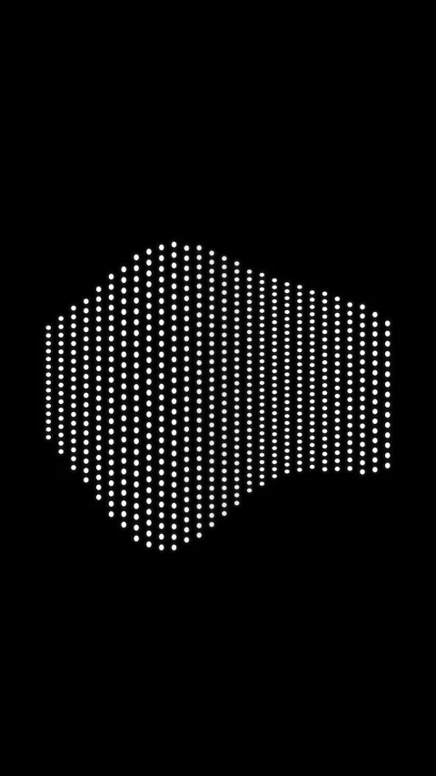 Motion graphic abstract dot pattern black and white loop animation Stock Footage 346646020
